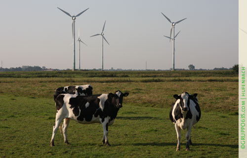 Bild: GRUPPO|635 - hufenbach